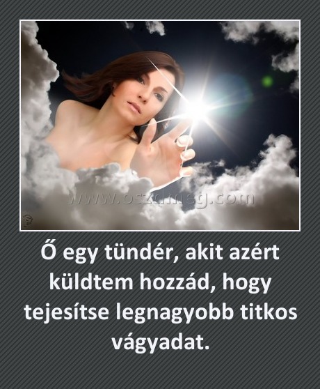 Ő egy tündér, akit azért küldtem hozzád, hogy tejesítse legnagyobb titkos vágyadat.
 
