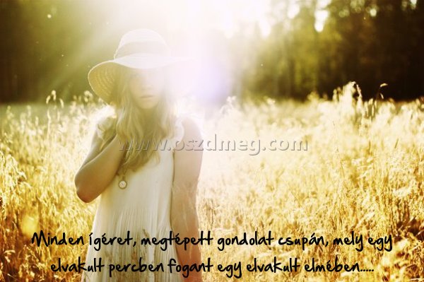 Minden ígéret
 
Minden ígéret, megtépett gondolat csupán, mely egy elvakult percben fogant egy elvakult elmében.....
