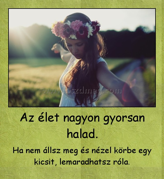 Az élet nagyon gyorsan halad.
 
Ha nem állsz meg és nézel körbe egy kicsit, lemaradhatsz róla.