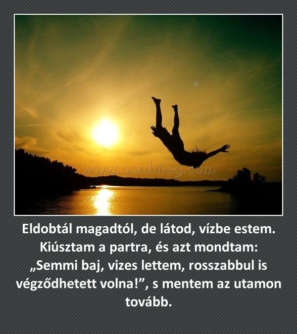 Eldobtál magadtól, de látod, vízbe estem. Kiúsztam a partra, és azt mondtam: „Semmi baj, vizes lettem, rosszabbul is végződhetett volna!”, s mentem az utamon tovább.
 

