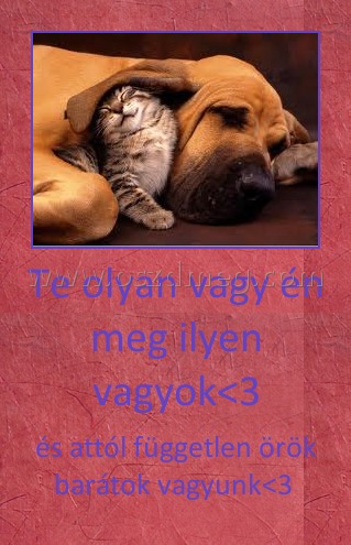 Te olyan vagy én meg ilyen vagyok<3 Te olyan vagy én meg ilyen vagyok<3
és attól független örök barátok vagyunk<3