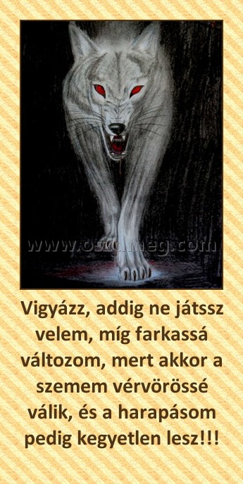 Vigyázz, addig ne játssz velem, míg farkassá változom, mert akkor a szemem vérvörössé válik, és a harapásom pedig kegyetlen lesz!!! Vigyázz, addig ne játssz velem, míg farkassá változom, mert akkor a szemem vérvörössé válik, és a harapásom pedig kegyetlen lesz!!!