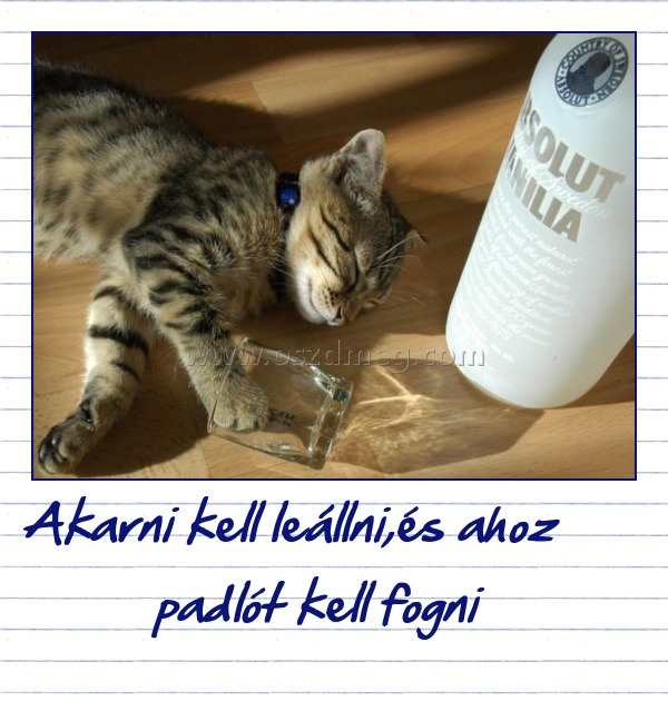 Akarni kell leállni,és ahoz padlót kell fogni
 
