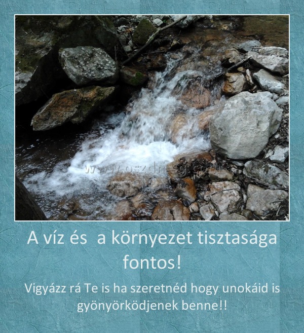 A víz és  a környezet tisztasága fontos!
 
Vigyázz rá Te is ha szeretnéd hogy unokáid is gyönyörködjenek benne!!
