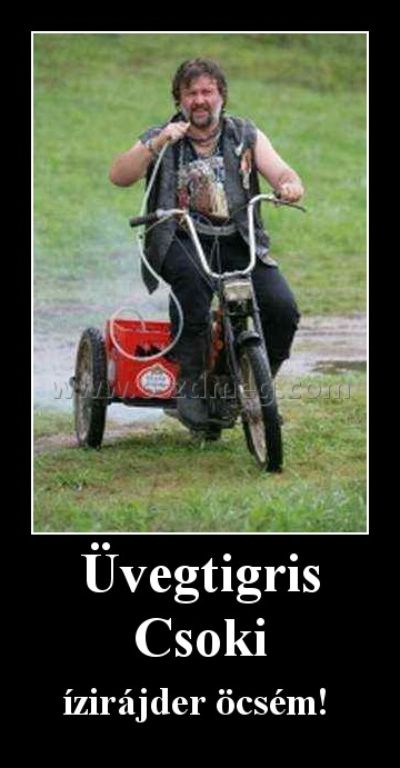 Üvegtigris Csoki
 
ízirájder öcsém! 