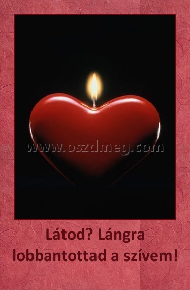 Látod? Lángra lobbantottad a szívem!
 
