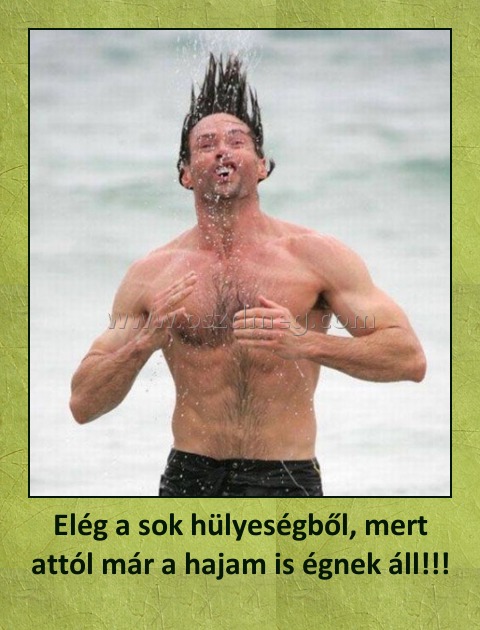 Elég a sok hülyeségből, mert attól már a hajam is égnek áll!!!
 
