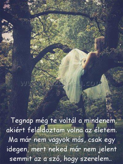 Tegnap még
 
  Tegnap még te voltál a mindenem, akiért feláldoztam volna az életem. Ma már nem vagyok más, csak egy idegen, mert neked már nem jelent semmit az a szó, hogy szerelem.. 