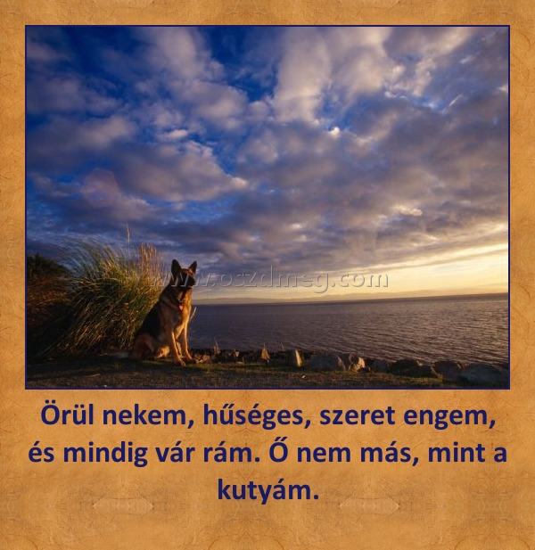 Örül nekem, hűséges, szeret engem, és mindig vár rám. Ő nem más, mint a kutyám.
 
