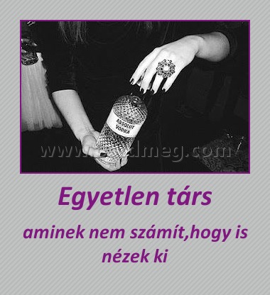 Egyetlen társ
 
aminek nem számít,hogy is nézek ki