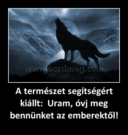 A természet segítségért kiállt:  Uram, óvj meg bennünket az emberektől!
 
