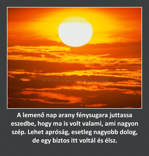 A lemenő nap arany fénysugara juttassa eszedbe, hogy ma is volt valami, ami nagyon szép. Lehet apróság, esetleg nagyobb dolog, de egy biztos itt voltál és élsz.
 
