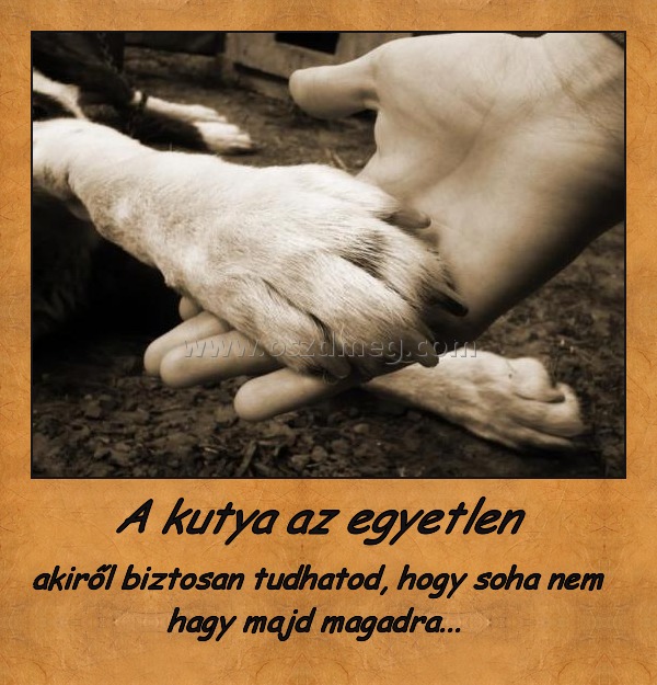          A kutya az egyetlen 
 
    akiről biztosan tudhatod, hogy soha nem hagy majd magadra...