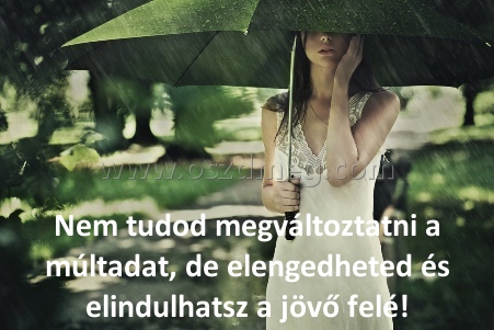 Nem tudod megváltoztatni a Nem tudod megváltoztatni a
Nem tudod megváltoztatni a múltadat, de elengedheted és elindulhatsz a jövő felé!