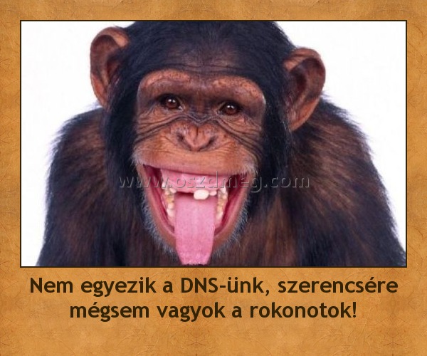 Nem egyezik a DNS-ünk, szerencsére mégsem vagyok a rokonotok! Nem egyezik a DNS-ünk, szerencsére mégsem vagyok a rokonotok!