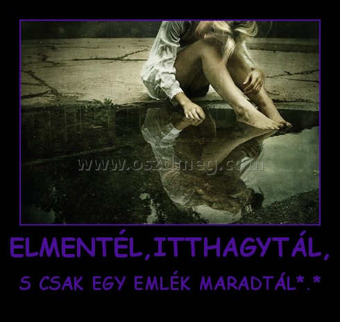 ELMENTÉL,ITTHAGYTÁL,
 
S CSAK EGY EMLÉK MARADTÁL*.*