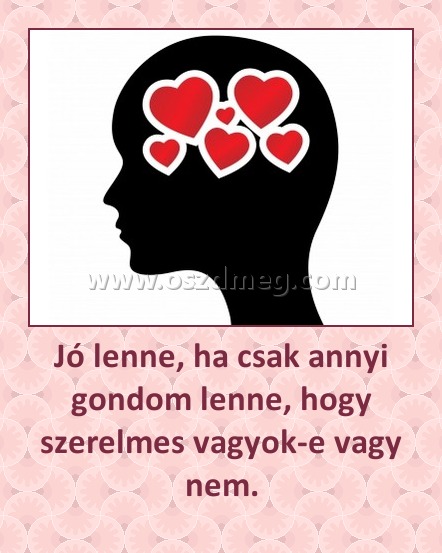 Jó lenne, ha csak annyi gondom lenne, hogy szerelmes vagyok-e vagy nem.
 
