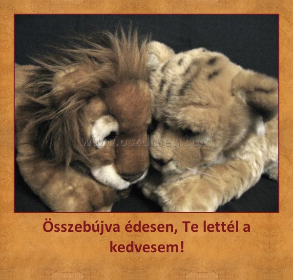 Összebújva édesen, Te lettél a kedvesem!
 
