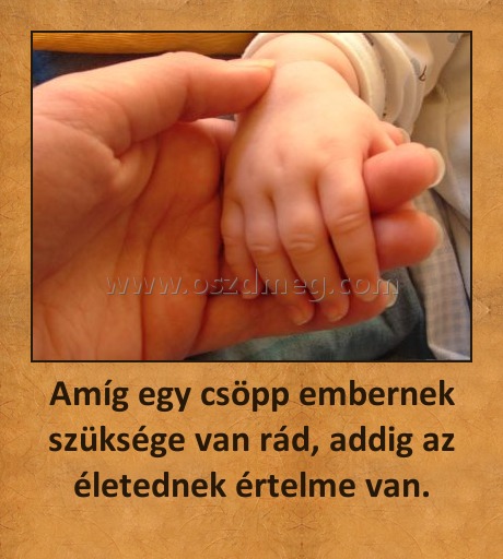 Amíg egy csöpp embernek szüksége van rád, addig az életednek értelme van. Amíg egy csöpp embernek szüksége van rád, addig az életednek értelme van.