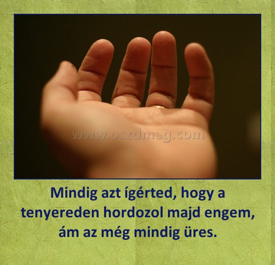 Mindig azt ígérted, hogy a tenyereden hordozol majd engem, ám az még mindig üres.
 
