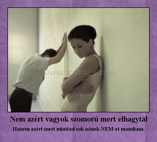 Nem azért vagyok szomorú mert elhagytál
 
Hanem azért mert miattad sok nőnek NEM-et mondtam.