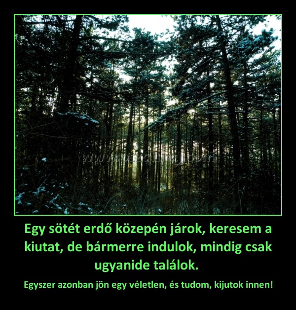 Egy sötét erdő közepén járok, keresem a kiutat, de bármerre indulok, mindig csak ugyanide találok. Egy sötét erdő közepén járok, keresem a kiutat, de bármerre indulok, mindig csak ugyanide találok.
Egyszer azonban jön egy véletlen, és tudom, kijutok innen!