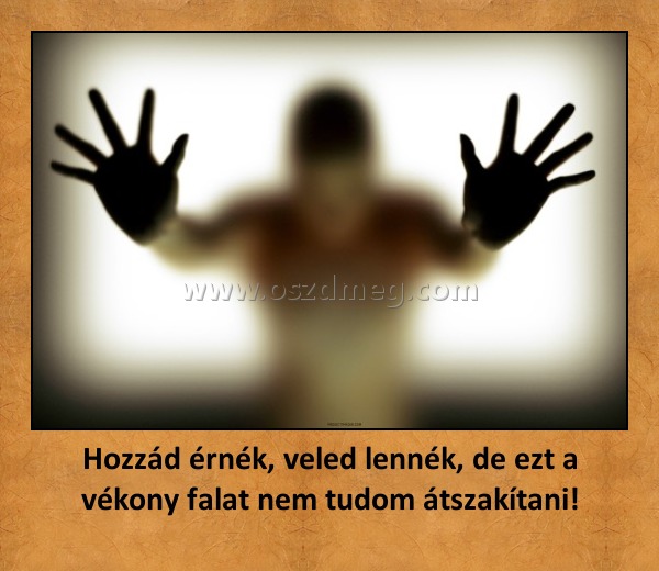 Hozzád érnék, veled lennék, de ezt a vékony falat nem tudom átszakítani!
 

