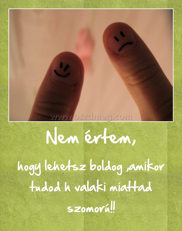 Nem értem,
 
hogy lehetsz boldog ,amikor tudod h valaki miattad szomorú!!