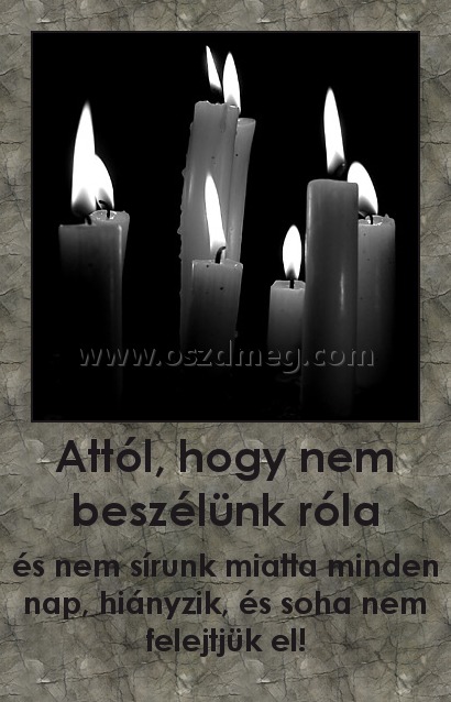 Attól, hogy nem beszélünk róla Attól, hogy nem beszélünk róla
és nem sírunk miatta minden nap, hiányzik, és soha nem felejtjük el!
