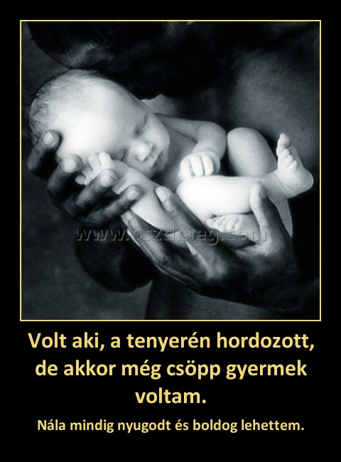 Volt aki, a tenyerén hordozott, de akkor még csöpp gyermek voltam.
 
Nála mindig nyugodt és boldog lehettem.