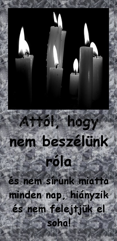 Attól, hogy nem beszélünk róla
 
és nem sírunk miatta minden nap, hiányzik és nem felejtjük el soha!