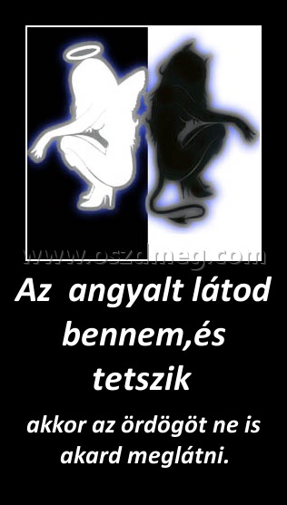Az  an
004957
gyalt látod bennem,és tetszik 
 
akkor az ördögöt ne is akard meglátni.