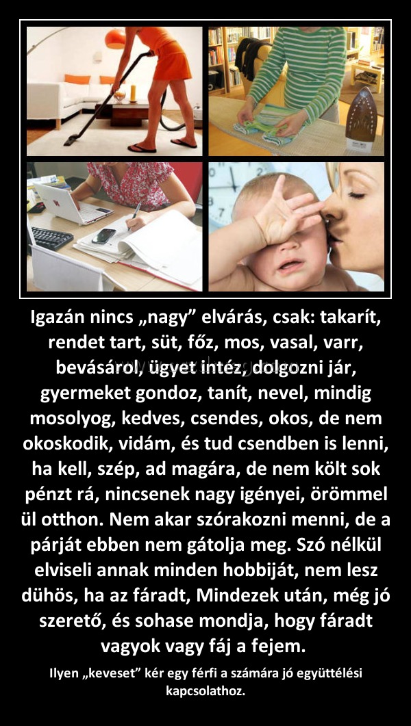Igazán nincs „nagy” elvárás, csak: takarít, rendet tart, süt, főz, mos, vasal, varr, bevásárol, ügyet intéz, dolgozni jár, gyermeket gondoz, tanít, nevel, mindig mosolyog, kedves, csendes, okos, de nem okoskodik, vidám, és tud csendben is lenni, ha kell, 
 
Ilyen „keveset” kér egy férfi a számára jó együttélési kapcsolathoz.