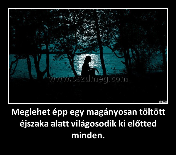 Meglehet épp egy magányosan töltött éjszaka alatt világosodik ki előtted minden.
 
