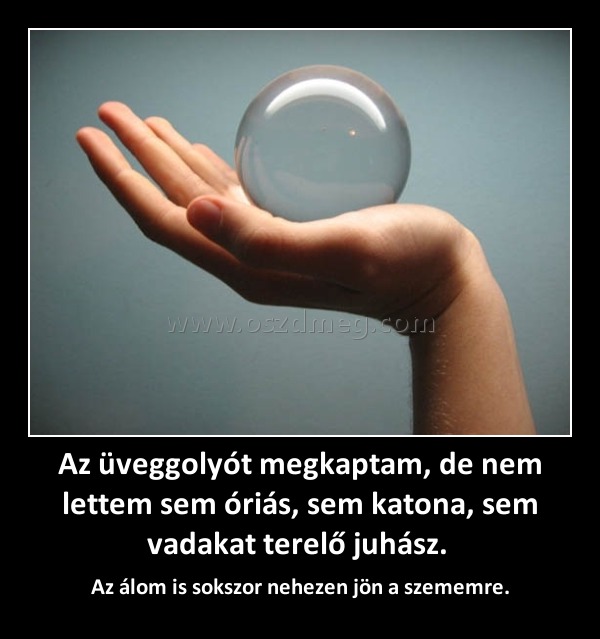 Az üveggolyót megkaptam, de nem lettem sem óriás, sem katona, sem vadakat terelő juhász. 
 
Az álom is sokszor nehezen jön a szememre.