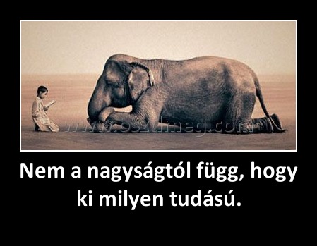 Nem a nagyságtól függ, hogy ki milyen tudású.
 
