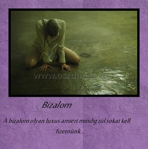Bizalom
 
A bizalom olyan luxus amiért mindig túl sokat kell fizetnünk...