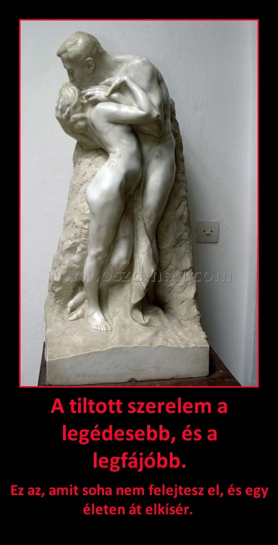 A tiltott szerelem a legédesebb, és a legfájóbb. A tiltott szerelem a legédesebb, és a legfájóbb.
Ez az, amit soha nem felejtesz el, és egy életen át elkísér.