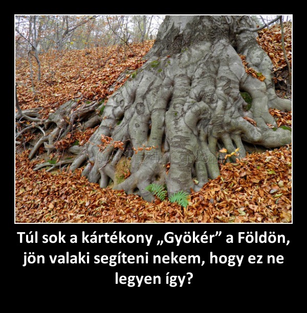 Túl sok a kártékony „Gyökér” a Földön, jön valaki segíteni nekem, hogy ez ne legyen így? Túl sok a kártékony „Gyökér” a Földön, jön valaki segíteni nekem, hogy ez ne legyen így?