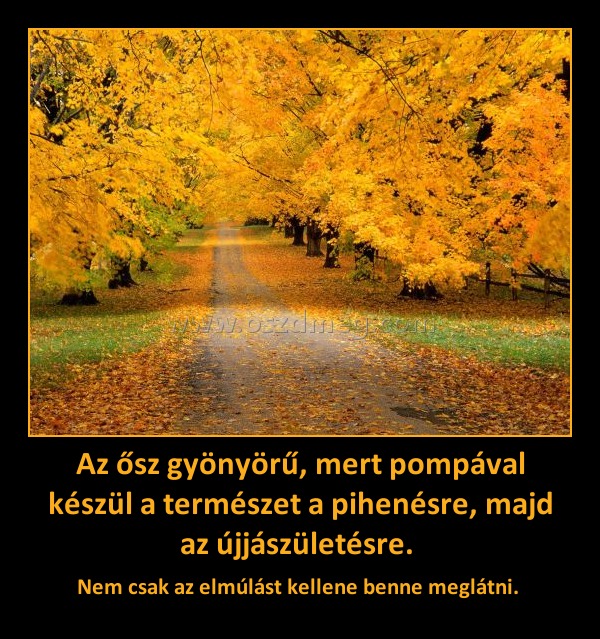 Az ősz gyönyörű, mert pompával készül a természet a pihenésre, majd az újjászületésre. Az ősz gyönyörű, mert pompával készül a természet a pihenésre, majd az újjászületésre.
Nem csak az elmúlást kellene benne meglátni.