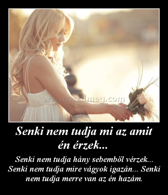 Senki nem tudja mi az amit én érzek... 
 
Senki nem tudja hány sebemből vérzek... Senki nem tudja mire vágyok igazán... Senki nem tudja merre van az én hazám.