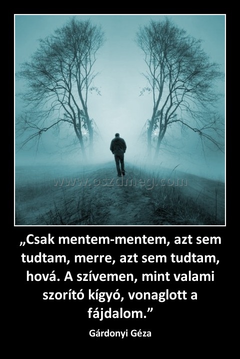 „Csak mentem-mentem, azt sem tudtam, merre, azt sem tudtam, hová. A szívemen, mint valami szorító kígyó, vonaglott a fájdalom.”
 
Gárdonyi Géza