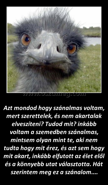
 
Azt mondod hogy szánalmas voltam, mert szerettelek, és nem akartalak elveszíteni? Tudod mit? inkább voltam a szemedben szánalmas, mintsem olyan mint te, aki nem tudta hogy mit érez, és azt sem hogy mit akart, inkább elfutott az élet elől és a könnyebb utat választotta. Hát szerintem meg ez a szánalom....