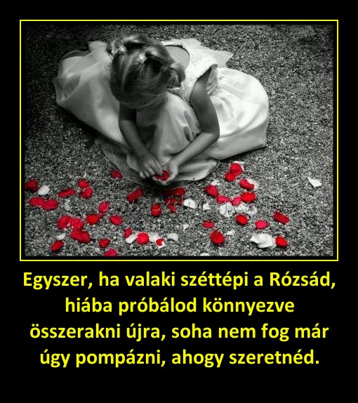 Egyszer, ha valaki széttépi a Rózsád, hiába próbálod könnyezve összerakni újra, soha nem fog már úgy pompázni, ahogy szeretnéd.
 
