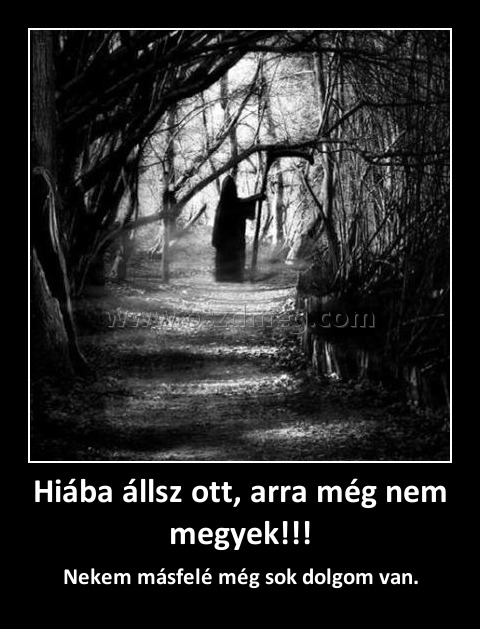 Hiába állsz ott, arra még nem megyek!!!
 
Nekem másfelé még sok dolgom van.