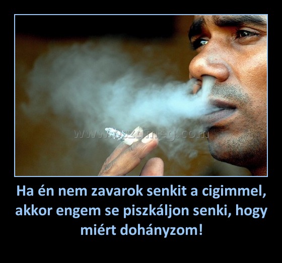 Ha én nem zavarok senkit a cigimmel, akkor engem se piszkáljon senki, hogy miért dohányzom!
 
