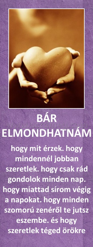 BÁR ELMONDHATNÁM BÁR ELMONDHATNÁM
hogy mit érzek. hogy mindennél jobban szeretlek. hogy csak rád gondolok minden nap. hogy miattad sírom végig a napokat. hogy minden szomorú zenéről te jutsz eszembe. és hogy szeretlek téged örökre