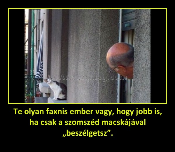 Te olyan faxnis ember vagy, hogy jobb is, ha csak a szomszéd macskájával „beszélgetsz”.
 
