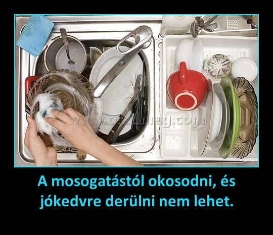 A mosogatástól okosodni, és jókedvre derülni nem lehet.
 
