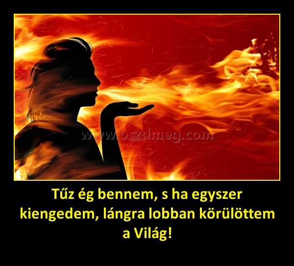 Tűz ég bennem, s ha egyszer kiengedem, lángra lobban körülöttem a Világ!
 
